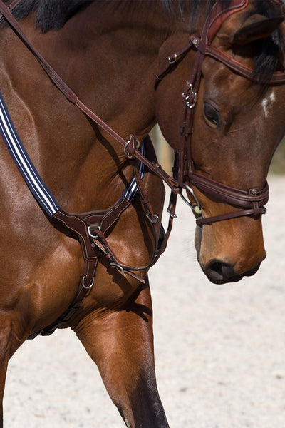 Antares Elastic Breastplate with Fork Attachment - Grained Leather