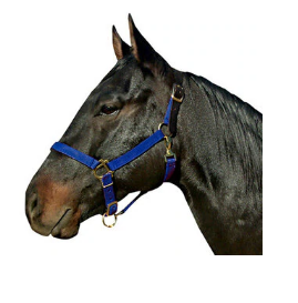 Nylon Breakaway Halter