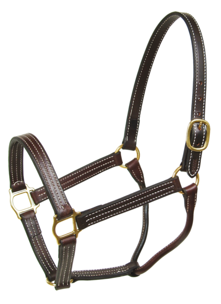 Dressage Horse Halter - 4900  Walsh Products – The Walsh Company, Inc.
